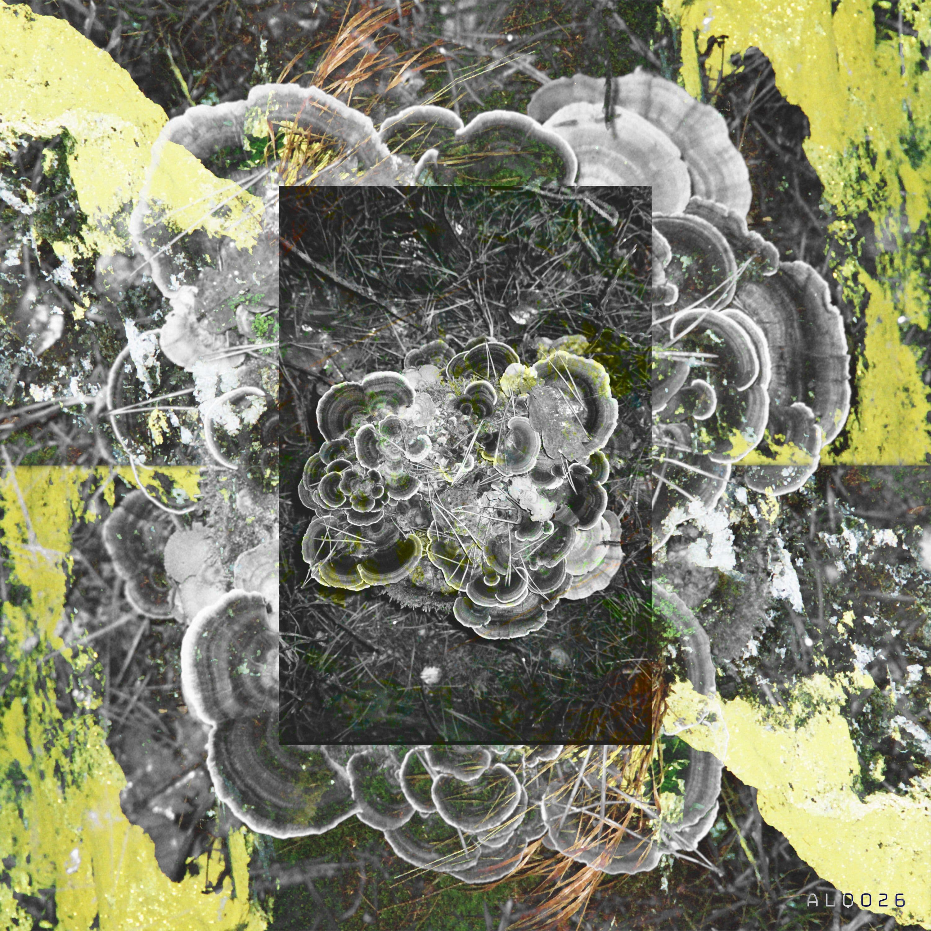 Layers Cover.jpg